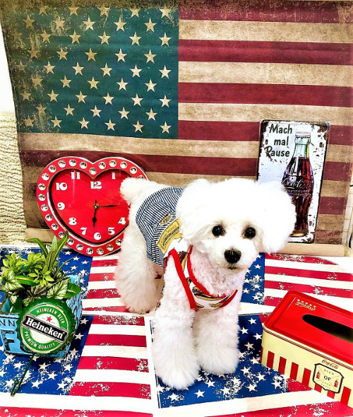 待合室のアイテムを お客様ご自身で組み合わせ、お好きなだけお撮り頂ける画期的な新サービスです!